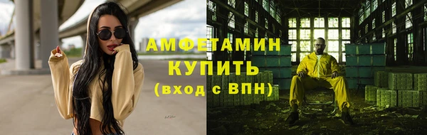 шишки Богородск