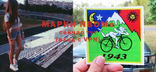мдпв Верея