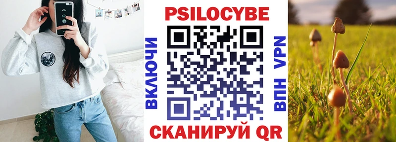 Псилоцибиновые грибы мицелий  купить закладку  Гаврилов-Ям 