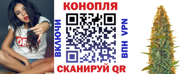 где найти   Гаврилов-Ям  Конопля VHQ 