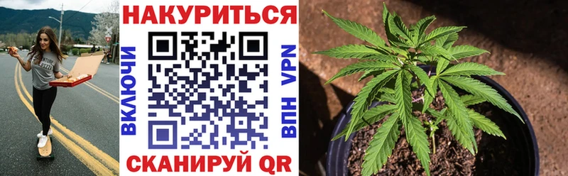 МАРИХУАНА гибрид Гаврилов-Ям